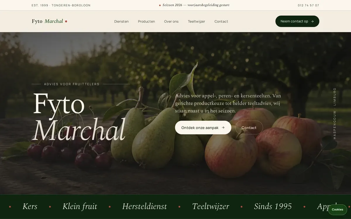 Website fytomarchal.be, gemaakt door hexel